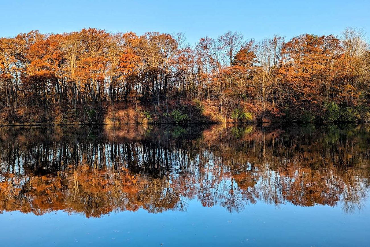 Fall Colors 2024 Michigan Amalie Barbara